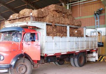 Acordaron $10,50  por el kilo de tabaco
