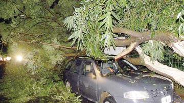 Tormenta de viento y granizo causó graves daños y apagón