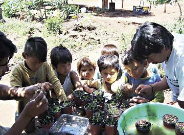 Mbyas reemplazan orquídeas nativas por in vitro
