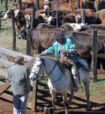 En Virasoro, el remate Pro a Pro mostró el repunte de los valores