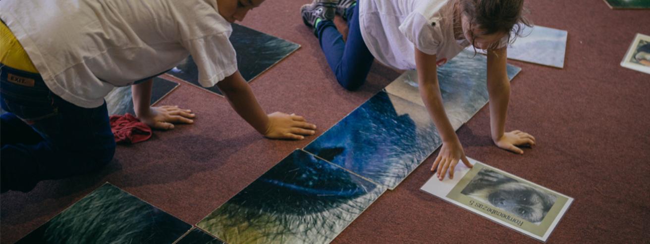 rompecabezas gigantes para adultos